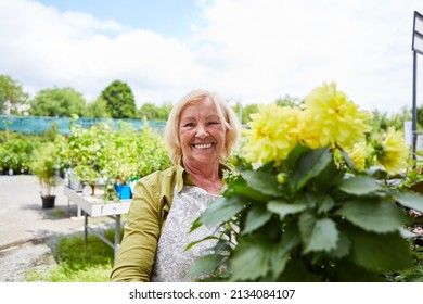 Happy elderly woman as a gardener in the garden center selling flowers with geranium - Powered by Shutterstock