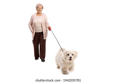 Happy elderly woman walking a maltese poodle dog on a lead isolated on white background - Powered by Shutterstock