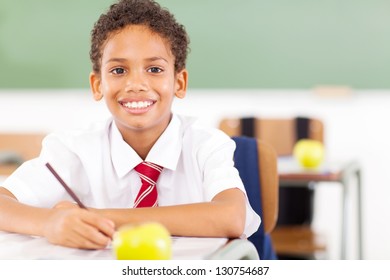 happy elementary schoolboy studying in classroom