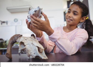 Happy elementary student examining animal skull by desk at science laboratory - Powered by Shutterstock