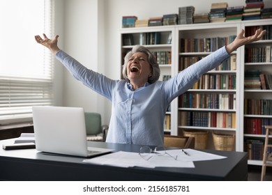 Happy euphoric mature business professional woman excited with job success, winning prize, making winner hands, shouting for joy, laughing, having fun, going crazy at office workplace