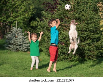 Happy And Excited Children Playing Football With Family Pet Dog Outside At Backyard Turf On Sunny Summer Day