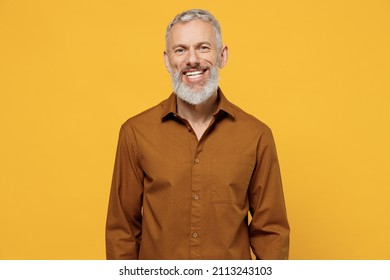 Happy excited magnificent elderly gray-haired bearded man 40s years old wears brown shirt looking camera smiling isolated on plain yellow background studio portrait. People emotions lifestyle concept - Shutterstock ID 2113243103