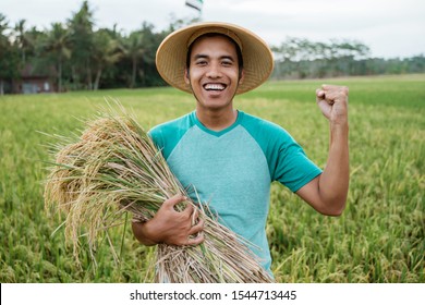 happy excited rice farmer during harvest season outdoor