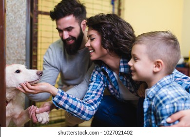 Happy Family At Animal Shelter Choosing A Dog For Adoption.