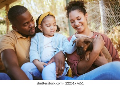 Happy family, animal shelter and dog with girl and parents bond, relax and sharing moment of love, trust and care. Black family, animal rescue and puppy with family at shelter, playful, cute and joy