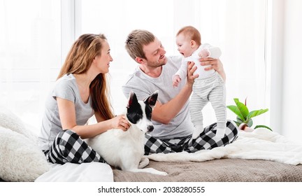Happy family with baby boy sitting on the bed with cute dog. Mother and father with their son and doggy together in room with daylight. Beautiful parenthood time. Pet with owners