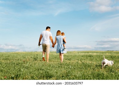 Happy family with child and dog walk in field. Back view of young father holding his wife by hand, mom is carrying her little son, jack russell terrier running on green lawn. Family outdoor recreation