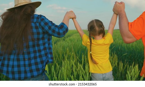 Happy family with child, play, runs across field, holding hands. Mom, dad, kid, daughter play in green wheat field, fun childhood. Farmer family. Family weekend. Child playing with mother, father