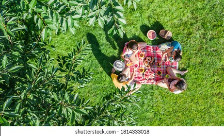 Happy family with children having picnic in park, parents with kids sitting on garden grass and eating healthy meals outdoors, aerial drone view from above, family vacation and weekend concept
