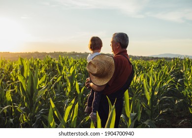 Happy family in corn field. Family standing in corn field an looking at sun rise - Powered by Shutterstock