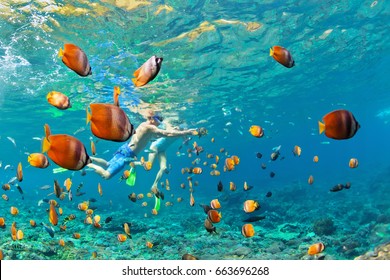 Happy family - couple in snorkeling masks dive deep underwater with tropical fishes in coral reef sea pool. Travel lifestyle, outdoor water sport adventure, swimming lessons on summer beach holiday - Powered by Shutterstock