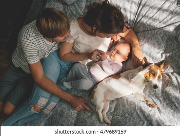 Happy Family With Cute Baby Playing With Jack Russel Dog In Bed At Home.