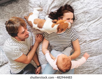 Happy Family With Cute Baby Playing With Jack Russel Dog In Bed At Home.