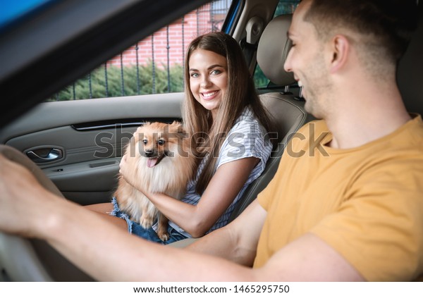 Happy family with dog\
travelling by car