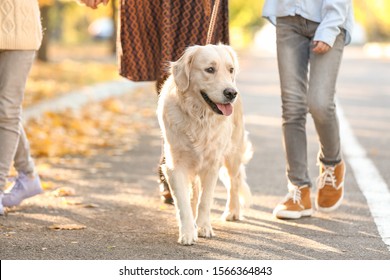 Happy Family With Dog Walking In Autumn Park