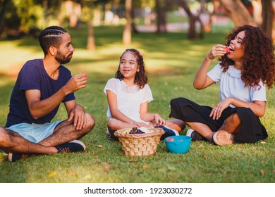 Happy Family Doing Picnic In The Park