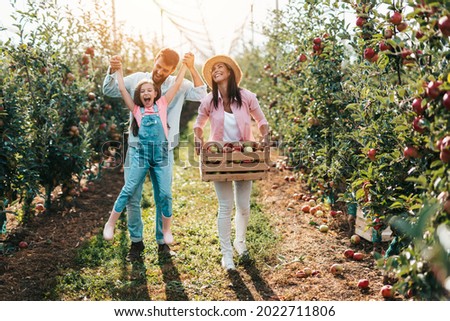 Happy family enjoying together while picking apples in orchard.