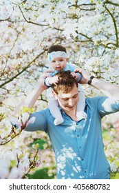 Happy Family. Father Holds A Child In The Blooming Apple Trees, On Sunny Day In The Park. Positive Human Emotions, Feelings. Cherry And Apple Blossom. Spring Time. Outdoors. Father And Baby Daughter