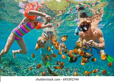 Happy family    father  mother  child in snorkeling mask dive underwater and tropical fishes in coral reef sea pool  Travel lifestyle  water sport adventure  swimming summer beach holiday and kids