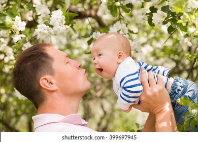 Happy Family. Father Throws Up Child In The Blooming Apple Trees, On Sunny Day In The Park. Positive Human Emotions, Feelings. Cherry And Apple Blossom. Spring Time. Outdoors. Father And Baby Son.