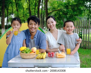 Happy Family Of Four Outdoor Outing High Quality Photo