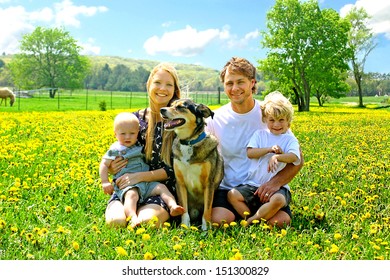 A Happy Family Of Four People, Mother, Father, Young Child, And Baby Are Sitting Outside In A Field Of Dandelion Flowers With Their Dog.