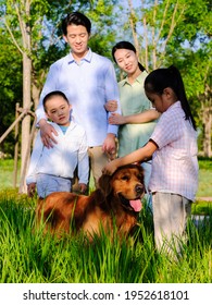 Happy Family Four Walking Dogs Parksmiling Stock Photo 1952618101