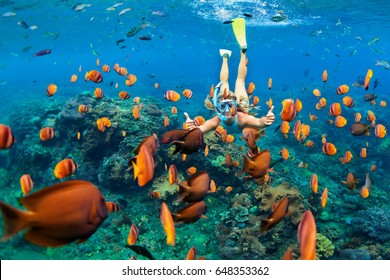 Happy family    girl in snorkeling mask dive underwater and tropical fishes in coral reef sea pool  Travel lifestyle  water sport outdoor adventure  swimming lessons summer beach holiday and child