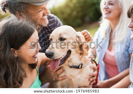 Image, Stock Photo Golden Retriever dog in yellow field at sunset. portrait