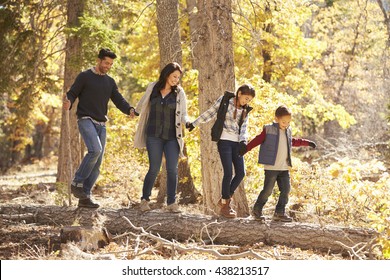 Happy family hold hands balancing on fallen tree in a forest