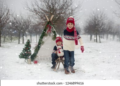 Kid Pulling Christmas Tree Stock Photos Images Photography