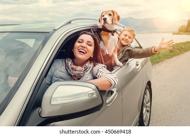 Happy Family Look Out From Car Windows