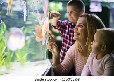 Happy Family Looking At Fish Tank At The Aquarium