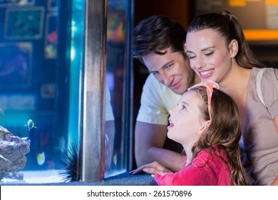 Happy Family Looking At Fish Tank At The Aquarium