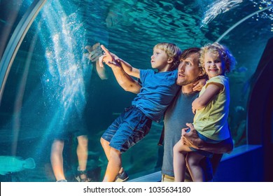 Happy Family Looking At Fish In A Tunnel Aquarium