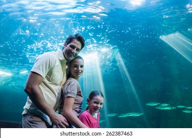 Happy Family Looking At Tank At The Aquarium