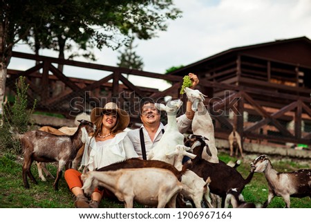 a happy family, a man and a woman in a hat, relaxing and laughing on a farm, surrounded by goats, on a sunny summer day