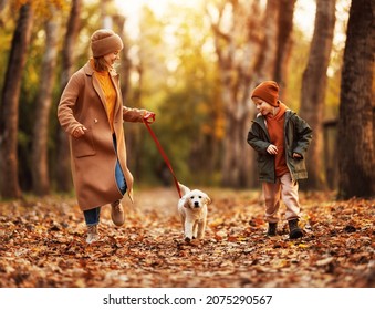 Happy Family Mother And Little Boy Son Walking With Golden Retriever Puppy In Park On Autumn Day, Excited Child With Mom Enjoying First Walk With Dog In Fall Forest, Playing With Domestic Pet Outdoors