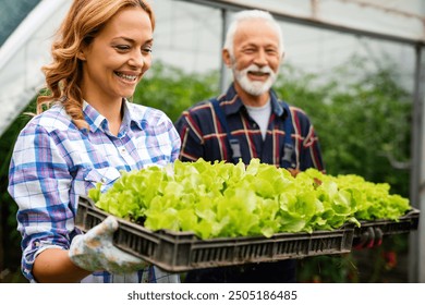 Happy family people of organic greenhouse farmer vegetable harvesting to be sold to local stores. - Powered by Shutterstock