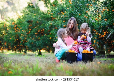 310,592 Family In Orange Images, Stock Photos & Vectors | Shutterstock