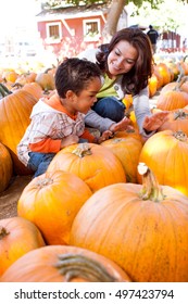 Happy Family Picking Pumpkins At The Pumpkin Patch.