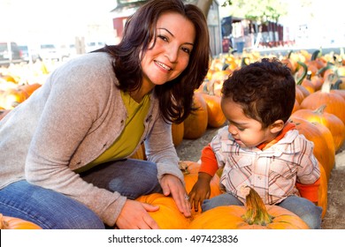 Happy Family Picking Pumpkins At The Pumpkin Patch.