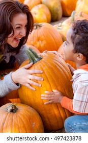 Happy Family Picking Pumpkins At The Pumpkin Patch.