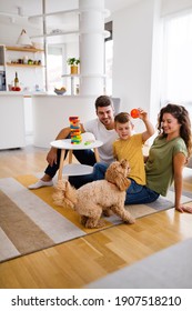 Happy Family Playing, Having Fun With Dog At Home