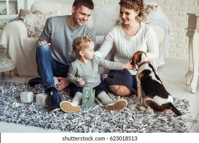 Happy Family Playing With A Pet Dog In The Spacious Living Room