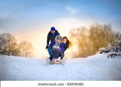 The Happy Family Rides The Sledge In The Winter Wood, Cheerful Winter Entertainments, Everything Is Covered With Snow Around