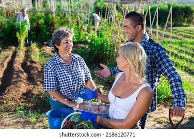 Happy Family With Ripe Vegetables Harvest In Their Garden