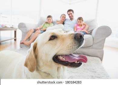 Happy Family Sitting On Couch With Their Pet Yellow Labrador In Foreground At Home In The Living Room