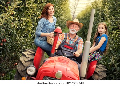 Happy Family Sitting On Tractor And Driving Through An Orchard